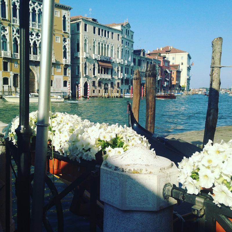 In Honor of Venice and Its People